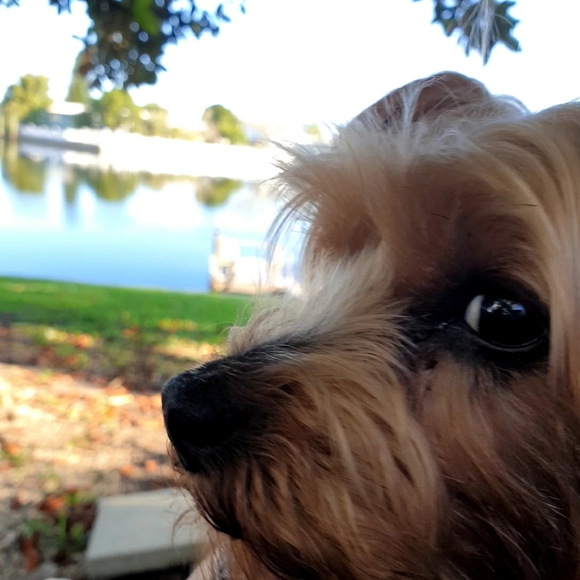 Meet your Poshers, Linda & Carol - Picture 5 of 6